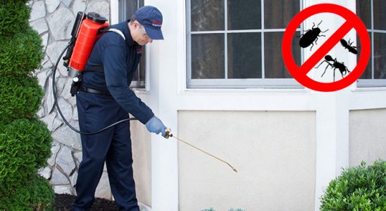 Onikişubat Dezenfeksiyon böcek ilaçlama ve haşere kontrolü — ilaclama-tr.com